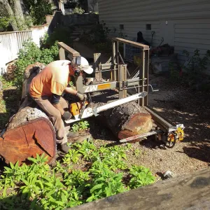 Trunk of former Cottage Oak (Coastal Live Oak) being milled into slabs by Ed Smith of Local Wood