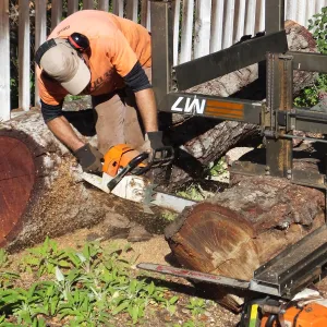 Trunk of former Cottage Oak (Coastal Live Oak) being milled into slabs by Ed Smith of Local Wood