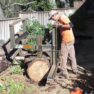 Trunk of former Cottage Oak being milled into slabs by Ed Smith of Local Wood