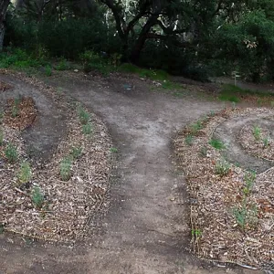 Centennial Maze