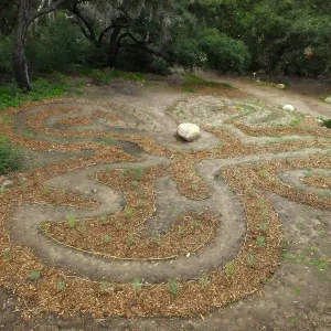 Centennial Maze