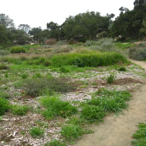 Meadow with Gift Shop and old Kiosk in background