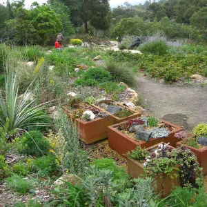 Trough planters, at steps to the Mosaic Bench, Meadow View