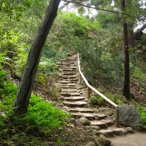 Indian Steps to the Redwood Section