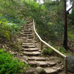 Indian Steps to the Redwood Section
