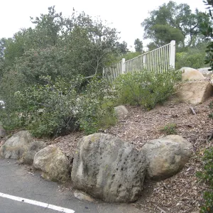 Steps from parking lot to Mission Canyon Rd