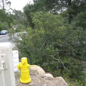looking across Mission CanyonRd to the Porter Trail steps