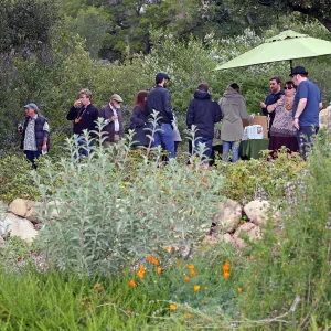 2015 Santa Barbara Beer Garden Event, Telegraph Brewing 