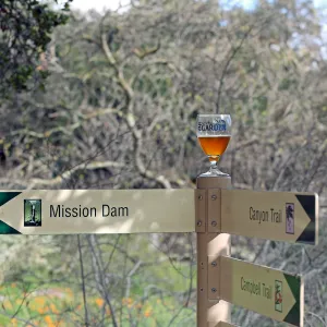 2015 Santa Barbara Beer Garden Event Glass(es)