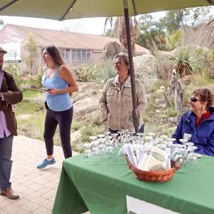 2015 Santa Barbara Beer Garden Event, SBBG table
