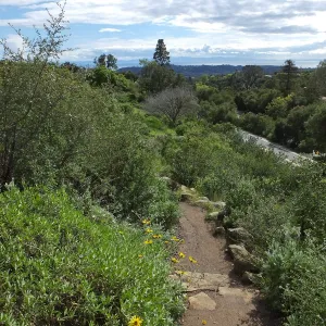 View towards islands from Porter Trail