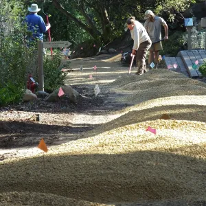 Arroyo Path Resurfacing after sewer installation