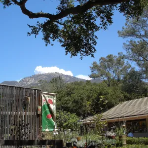 Smoke from the Zaca Fire