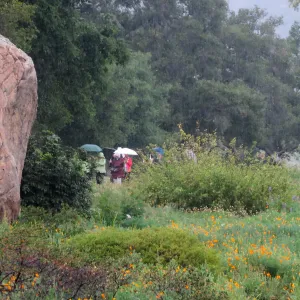 PEO members tour the Garden in the rain