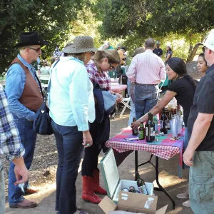 Members Picnic 2015
