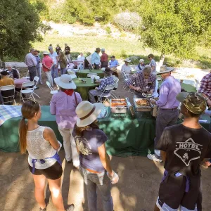 Members Picnic 2015