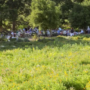 Members Picnic 2015