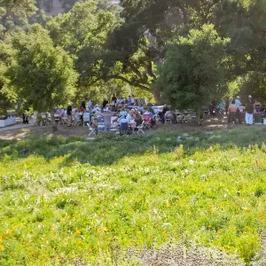 Members Picnic 2015