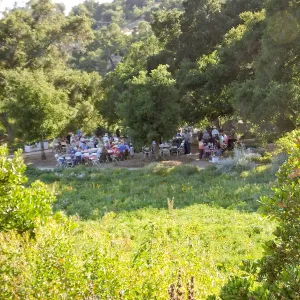 Members Picnic 2015