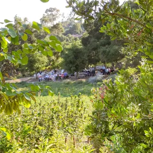Members Picnic 2015