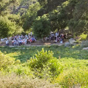 Members Picnic 2015