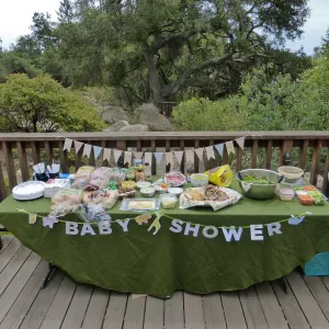 Baby Shower for Heather Wehnau