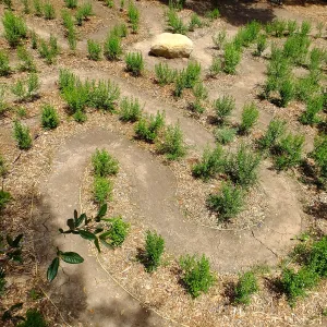 Centennial Maze