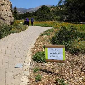 Volunteer Luncheon 2015 Welcome Signs