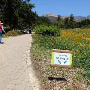 Volunteer Luncheon 2015 Welcome Signs