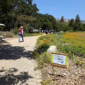 Volunteer Luncheon 2015 Welcome Signs