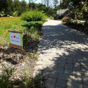 Volunteer Luncheon 2015 Welcome Signs
