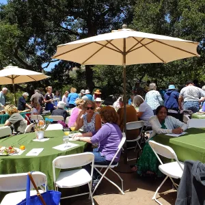 Volunteer Luncheon 2015
