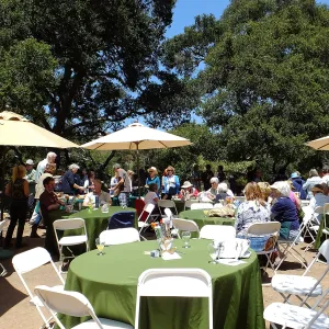 Volunteer Luncheon 2015