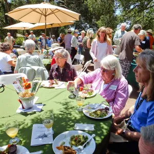 Volunteer Luncheon 2015