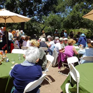 Volunteer Luncheon 2015