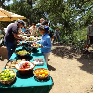 Volunteer Luncheon 2015