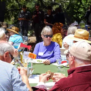 Volunteer Luncheon 2015