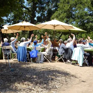 Volunteer Luncheon 2015