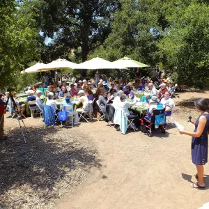 Volunteer Luncheon 2015