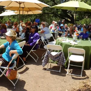 Volunteer Luncheon 2015