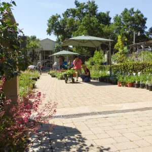 Spring Plant Sale 2015