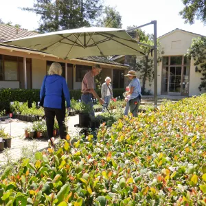 Spring Plant Sale 2015