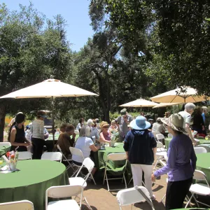 Volunteer Luncheon 2015