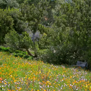 Seniors Free Day at upper Meadow