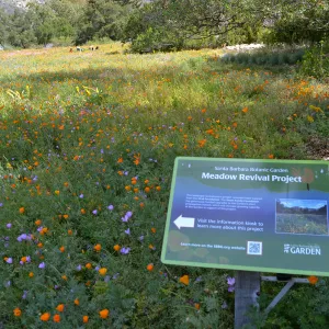 Seniors Free Day visitors at upper Meadow