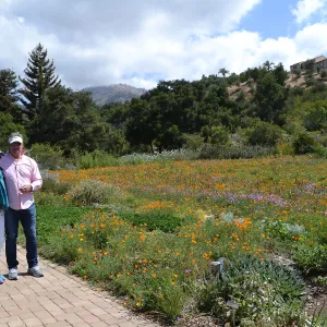 Seniors Free Day visitors at upper Meadow