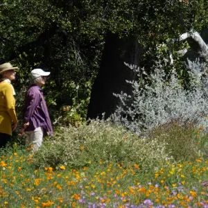 Seniors Free Day visitors at upper Meadow
