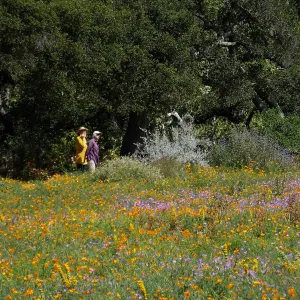 Seniors Free Day visitors at upper Meadow