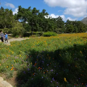 Seniors Free Day visitors at lower Meadow