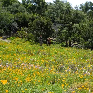 Seniors Free Day photographing in Meadow